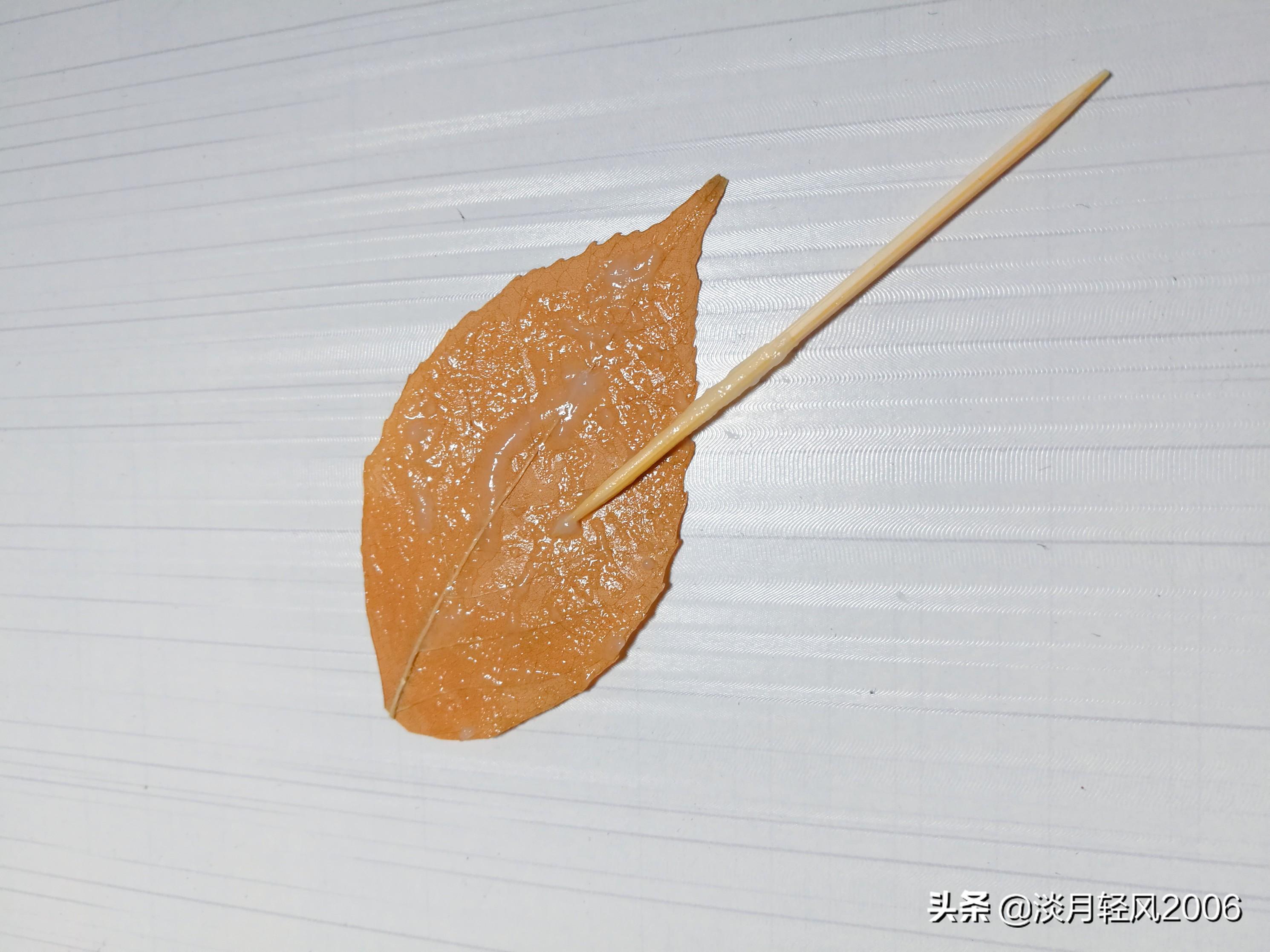 樹葉畫手工貼畫（幼兒手工，簡單葉貼畫，樹葉貼小鳥教程，孩子一學就會）
