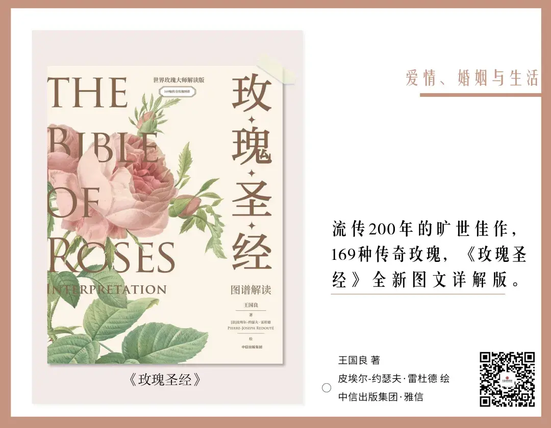 關(guān)于婚姻的書籍推薦（情人節(jié)書單｜15本書，帶你重新認識愛情、婚姻和幸福）